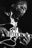 BB King Has Died