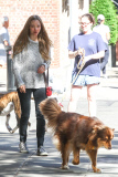 A make-up free Amanda Seyfried takes her best bud Finn for his morning walk