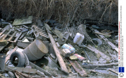 Pollution