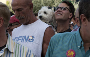 Hollywood celebrates ruling on marriage equality