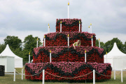 Hampton Court Palace Flower Show 25th Anniversary preparations, London, Britain - 25 Jun 2015