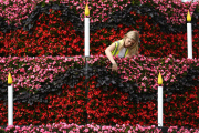 Hampton Court Palace Flower Show 25th Anniversary preparations, London, Britain - 25 Jun 2015