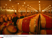 *EXCLUSIVE* Francois Pinault's Chateau Latour vineyards