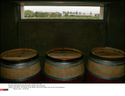 *EXCLUSIVE* Francois Pinault's Chateau Latour vineyards