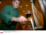 *EXCLUSIVE* Francois Pinault's Chateau Latour vineyards