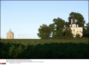 *EXCLUSIVE* Francois Pinault's Chateau Latour vineyards