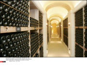 *EXCLUSIVE* Francois Pinault's Chateau Latour vineyards
