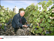 *EXCLUSIVE* Francois Pinault's Chateau Latour vineyards