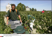 *EXCLUSIVE* Francois Pinault's Chateau Latour vineyards