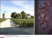*EXCLUSIVE* Francois Pinault's Chateau Latour vineyards