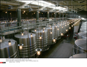 *EXCLUSIVE* Francois Pinault's Chateau Latour vineyards