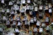 Beehives on the cliff in China