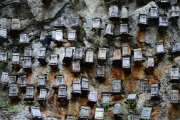 Beehives on the cliff in China