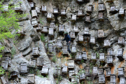 Beehives on the cliff in China