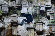 Beehives on the cliff in China