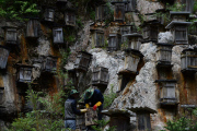 Beehives on the cliff in China