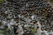 Beehives on the cliff in China