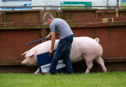 157th Great Yorkshire Show, Harrogate, Britain - 14 Jul 2015