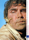 GTV ARCHIVE