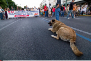 Greece: Anti-austerity protest