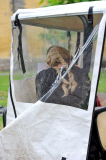 FAMEFLYNET - Exclusive: Charlize Theron Gets Caught Smoking A Cigarette On The Set Of The Huntsman