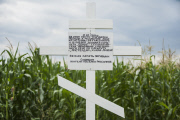 Around Hrabove village, one year after the tragedy of the Malaysian flight MH17, Ukraine.