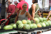 90210 alumnus Gabrielle Carteris shops for produce at Farmers Market