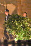 *EXCLUSIVE* Cody Simpson and Shaun White join Miley Cyrus at Nobu