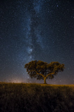 Photographer captures amazing images of starlit sky, Alentejo, Portugal  - Jul 2015