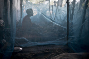Refugees flee Burundi before and after  elections - UNHCR.