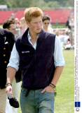CARTIER INTERNATIONAL POLO, SMITHS LAWN, WINDSOR GREAT PARK, BRITAIN - 25 JUL 2004