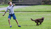Die dänische Königsfamilie beim offiziellen Fototermin auf Schloss Grasten
