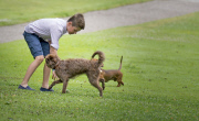 Die dänische Königsfamilie beim offiziellen Fototermin auf Schloss Grasten