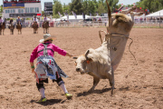 Cheyenne Frontier Days Celebrated in Wyoming