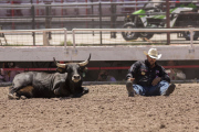 Cheyenne Frontier Days Celebrated in Wyoming