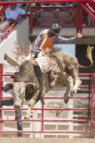 Cheyenne Frontier Days Celebrated in Wyoming