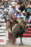 Cheyenne Frontier Days Celebrated in Wyoming