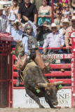 Cheyenne Frontier Days Celebrated in Wyoming
