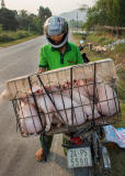 Overloaded Transport in Vietnam