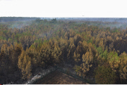 Fire in St Jean d'Illac