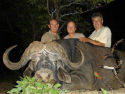 Cecil the lion killed by American dentist Walter Palmer, Zimbabwe, Africa - 29 Jul 2015