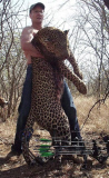 Cecil the lion killed by American dentist Walter Palmer, Zimbabwe, Africa - 29 Jul 2015