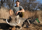 Cecil the lion killed by American dentist Walter Palmer, Zimbabwe, Africa - 29 Jul 2015