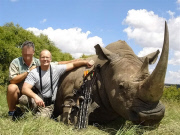 Cecil the lion killed by American dentist Walter Palmer, Zimbabwe, Africa - 29 Jul 2015