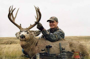 Cecil the lion killed by American dentist Walter Palmer, Zimbabwe, Africa - 29 Jul 2015