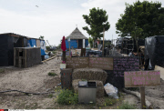 Calais, Migrants - New jungle
