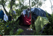 Calais, Migrants - New jungle