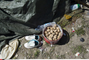 Calais, Migrants - New jungle