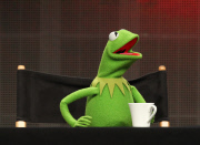 ABC Disney's 'The Muppets' panel at the Summer TCA Press Tour, Los Angeles, America  - 04 Aug 2015