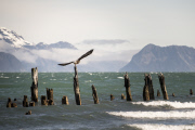 Kenai Fjords National Park, Alaska, America - May 2015